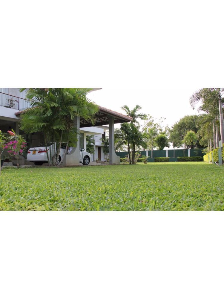 Lake Wind Hotel Tissamaharama Bagian luar foto